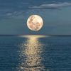 lunalight_