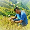 quangcn