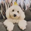 samfinityy