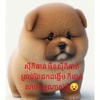 thida462555