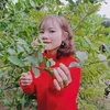 lyvy71