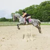 maevet26