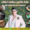 we_pokpong_service