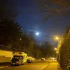 nnnu_961