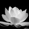 thuvan24122