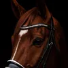 maries.horseblog