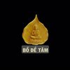 dnt_16_05