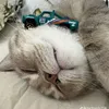 nanhnanh960