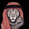 radwan____farag
