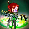 net.46.tv