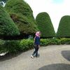 sawo.matang95