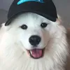 bravo__10