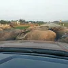 thinhkhenu