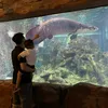 miketantravel