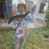 truong71c1
