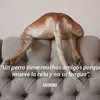 jimenaleyes