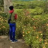 suryaarfandi