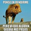 carlosbalcazar5