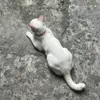kitdarealest