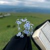 أمل | ١٤٢٦ه‍
