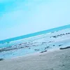 jdxbjtdch