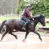 me_and_my_ponys