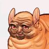 solith_vole