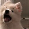 joook_kyyy