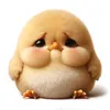 dinhduyquy