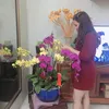 tuyetnhung271085