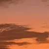 ahnexty