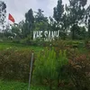 linhlee512