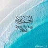 mostafaelgazar6