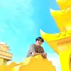 nhi_trans