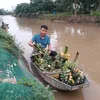 luisongtien007