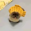 lyzaa_zhiluo