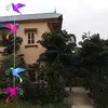 namdoan46
