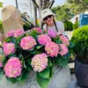 dinhhuyen151292