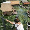 yingjingjai