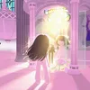 dofgk255