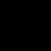 peynae8508