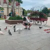 trgminh7