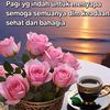 purisakti_62