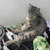 nina_10420
