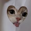 lyaaa_aaaaaaaa