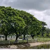 huyentam8396