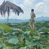 vuong7chuc