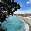 aleraina