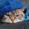 ricky_99999