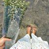 putri06._
